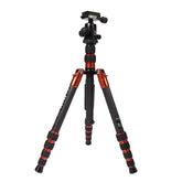 Triopo GT-2505x8.C Adjustable Portable Carbon Fiber Tripod with B-1 Aluminum Ball Head for Canon Nikon Sony DSLR Camera, GT-2505x8.C (Black), GT-2505x8.C (Gold)
